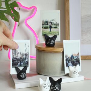 Portafotos Gato